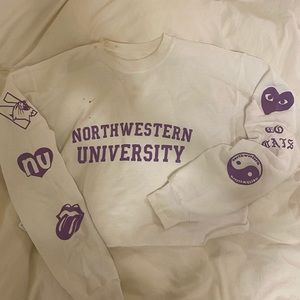 Custom Sticker-style Northwestern Tailgate Top